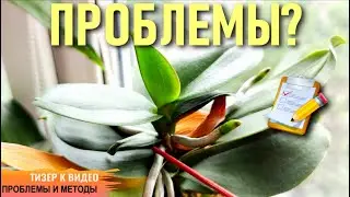 КАКИЕ ПРОБЛЕМЫ У ОРХИДЕИ МНЕ ПРЕДСТОИТ РЕШИТЬ? СУХАЯ ГНИЛЬ СТВОЛА! ТИЗЕР К ПОЛНОМУ ВИДЕО! ИНТЕРЕСНО!