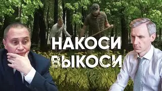 Накоси-выкоси. Одуванчики Борисова расцветают перед выборами губернатора