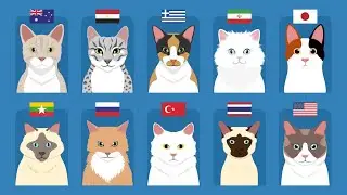 Cats From Different Countries