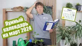 Лунный календарь огородника на март 2024.  Календарь посевов на март