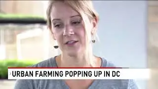 Why an entrepreneur believes urban farming is the future in D.C.