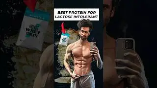 Best Protein Powder For Gut Health !