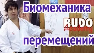 Механика и биомеханика перемещений в каратэ.  Андрей Вагин