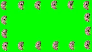 Animated cake Green Screen