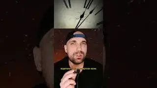 Водитель потерял психов😱 