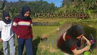 Pesona Gadis Desa Cantik Dan Rajin, Indonesian Girl Rural life, Suasana Pedesaan Jawa Barat