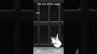 Liquid Metal Robot Escapes From a Cage Like Terminator