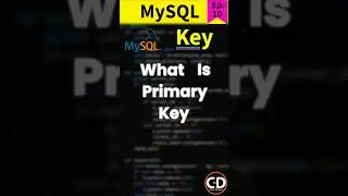 What is the Primary Key in MySQL | MySQL Short Series Ep 10 #code #mysql #datascience