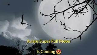 Rare Full Pink Supermoon 2023 is Coming in this Week || All Details