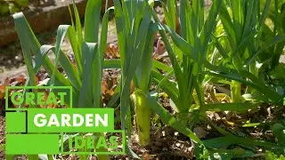 Collingwood Children's Farm Visit | GARDEN | Great Home Ideas