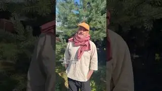 Все цвета на сайте kerstens.store заказать + 7 993 490 01 54