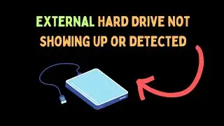 How to Fix External Hard Drive Not Showing Up or Detected in Windows 11