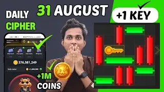 31 August Daily Combo & Daily Cipher & Mini Game | Hamster Kombat Daily Combo & Mini Game 31 August