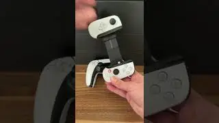 The 