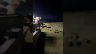 Target rich environment 🐗 