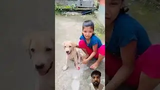 Dog 🐶 love 🫶 #shorts #shortvideo #emotional  #mom #dog #beti #doglover #love #puppy #cute #comedy