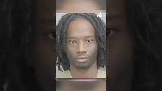 Speeding Tesla driver charged in crash that left 2 dead in Broward, 2 deputies reassigned