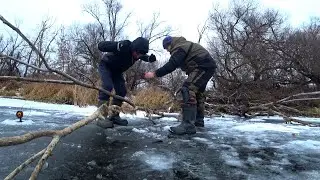 Да СКОЛЬКО ЖЕ ИХ в этих КОРЯГАХ! Первый лёд, зимняя рыбалка и жерлицы.