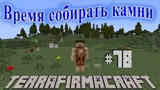 TerraFirmaCraft - Время собирать камни | #78 - Неудача