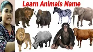 Learn Animals Name in Hindi || Cute Animals Video Cow, Rhino || Animals Video || 