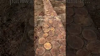 Wood slice #garden pathway review… since when is this a bad thing? #backyard #sustainable