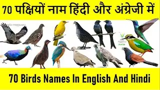 Birds Name |  Different type of Birds Name | पक्षियों के नाम |  All Birds Name | पंछी के नाम  ||