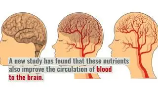 Zeaxanthin and Lutein Save the Eyes and Improve Brain Circulation