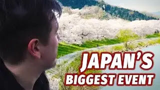 Experiencing Japans Biggest Annual Event | Cherry Blossom Season