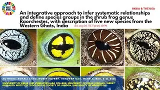 Shrub frog genus Raorchestes Western Ghats - Science News and Research News