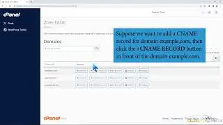 How to add CNAME Record in cPanel using the DNS Zone Editor with CloudSpace