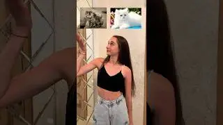 Проверим, доброе ли у тебя сердце💔🥹 #shortsvideo #жиза #юмор #выбиралки #выбирашка #выбирашки #а4