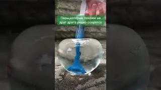 Факты о любви, которые ты не знал(а) 