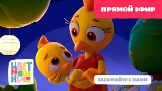 🐥Цветняшки - Песенки для сна - Прямой эфир - Колыбельные для малышей💤