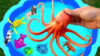 Learn animals for kids learn wild zoo animals for kids Sea Animal Toys part 19