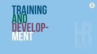 HR Basics: Training and Development 2e