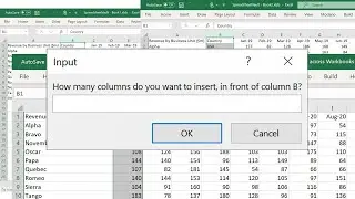 Insert multiple columns across Workbooks using VBA in Excel