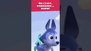 На старт, внимание... марш! 🏃 — Цветняшки — Мультики для малышей