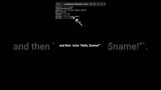 Learn Unix 'echo' Command in 60 Seconds! | Unix Commands for Beginners