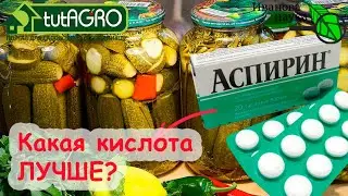 Что происходит, когда в маринад кладут АСПИРИН? 5 КИСЛОТ для консервирования овощей. Какая лучше?