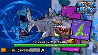 How To AFK Farm Terror Sharks! 🦈 | Blox Fruits