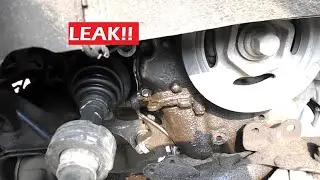 Oil Leak CURSE | 8th GEN CIVIC