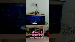 all types of pets and aquarium accessories available