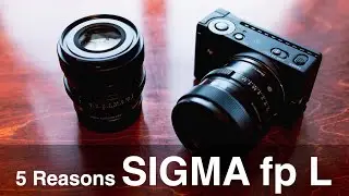 5 Reasons I like the Sigma fp L (and lenses)