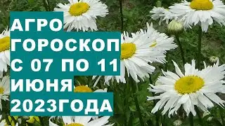 Агрогороскоп с 07 по 11 июня 2023 года. Агрогороскоп з 07 по 11 червня 2023 року