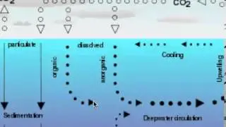 Dissolved CO2