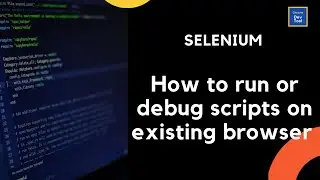 Selenium | Debug/Run Script on Existing Browser