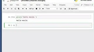 Running a Python 3 Script in a nanoHUB Jupyter Notebook