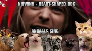 Nirvana - Heart-Shaped Box (Animal Cover)