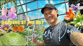 Magnificent🌵Desert Plants And Fantastic Florals 💐 - Inside The Flower Dome | Gardens by the Bay