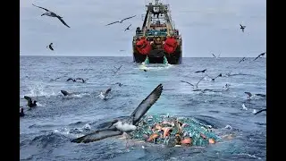 От Сайгона до Гаваны, все четыре океана